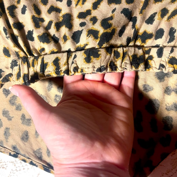 Express - Picture 2 of 7